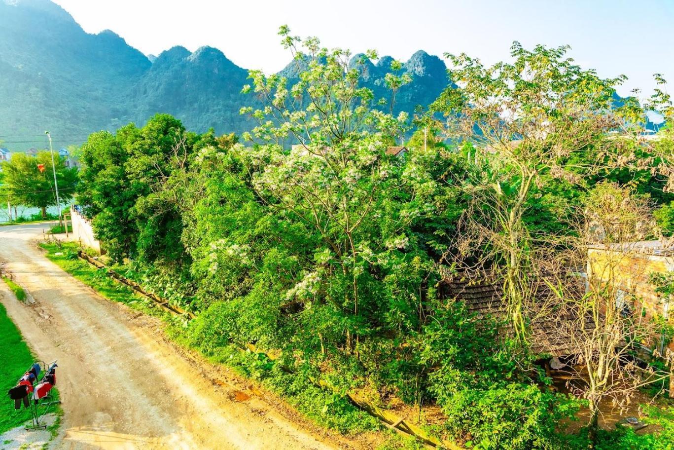 Phong Nha Cherish House Kültér fotó